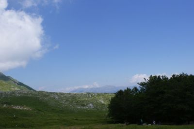 Premi per vedere l'immagine alla massima grandezza