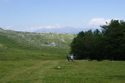 Premi per vedere l'immagine alla massima grandezza