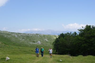 Premi per vedere l'immagine alla massima grandezza