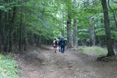 Premi per vedere l'immagine alla massima grandezza