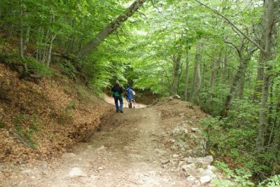 Premi per vedere l'immagine alla massima grandezza