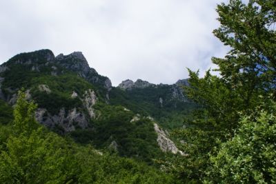 Premi per vedere l'immagine alla massima grandezza