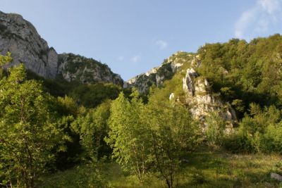 Premi per vedere l'immagine alla massima grandezza