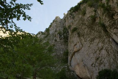 Premi per vedere l'immagine alla massima grandezza