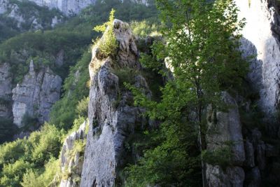 Premi per vedere l'immagine alla massima grandezza