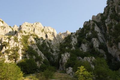 Premi per vedere l'immagine alla massima grandezza