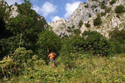 Premi per vedere l'immagine alla massima grandezza