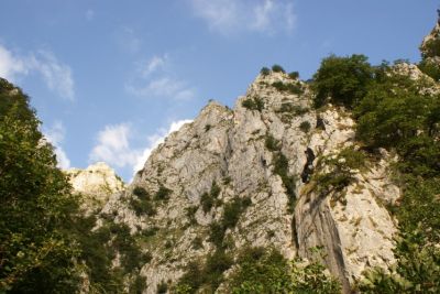 Premi per vedere l'immagine alla massima grandezza