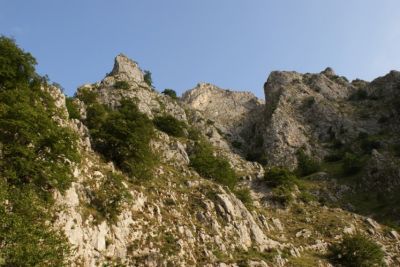 Premi per vedere l'immagine alla massima grandezza