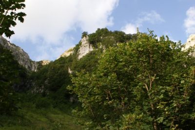 Premi per vedere l'immagine alla massima grandezza