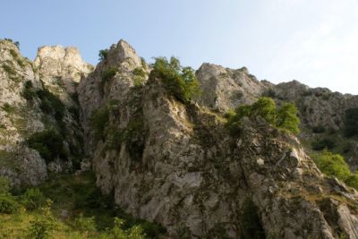 Premi per vedere l'immagine alla massima grandezza