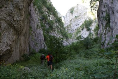 Premi per vedere l'immagine alla massima grandezza