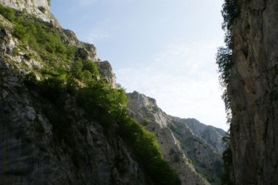 Premi per vedere l'immagine alla massima grandezza