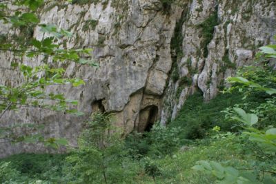 Premi per vedere l'immagine alla massima grandezza