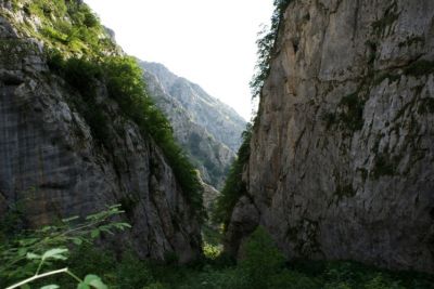 Premi per vedere l'immagine alla massima grandezza