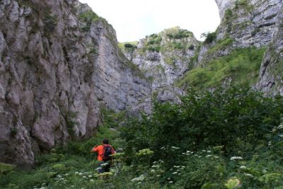 Premi per vedere l'immagine alla massima grandezza