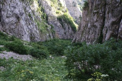 Premi per vedere l'immagine alla massima grandezza