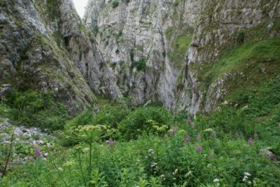 Premi per vedere l'immagine alla massima grandezza