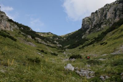 Premi per vedere l'immagine alla massima grandezza