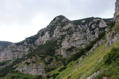 Premi per vedere l'immagine alla massima grandezza