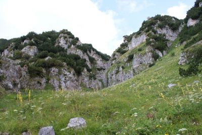 Premi per vedere l'immagine alla massima grandezza