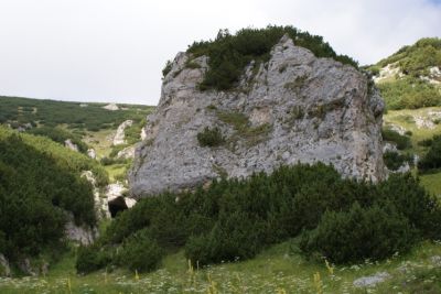 Premi per vedere l'immagine alla massima grandezza