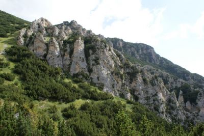 Premi per vedere l'immagine alla massima grandezza