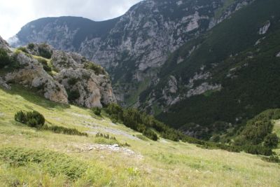 Premi per vedere l'immagine alla massima grandezza