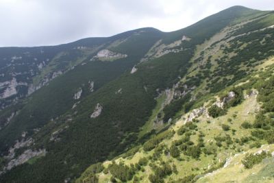 Premi per vedere l'immagine alla massima grandezza