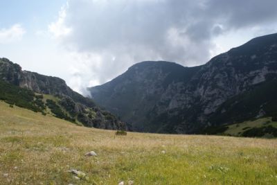 Premi per vedere l'immagine alla massima grandezza