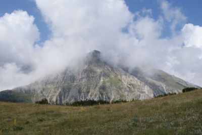 Premi per vedere l'immagine alla massima grandezza