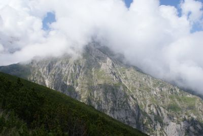 Premi per vedere l'immagine alla massima grandezza