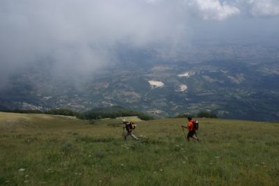 Premi per vedere l'immagine alla massima grandezza