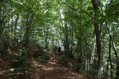 Premi per vedere l'immagine alla massima grandezza