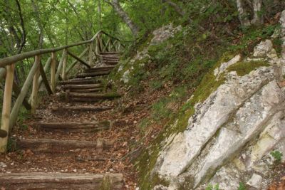 Premi per vedere l'immagine alla massima grandezza