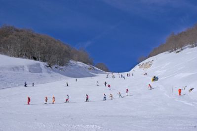 Premi per vedere l'immagine alla massima grandezza