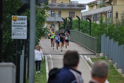 Premi per vedere l'immagine alla massima grandezza