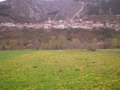 Premi per vedere l'immagine alla massima grandezza