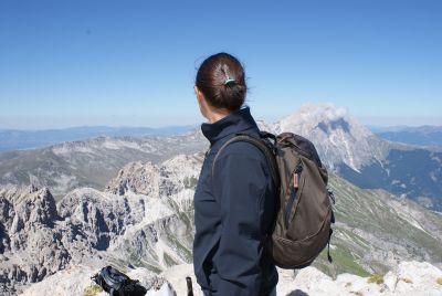 Premi per vedere l'immagine alla massima grandezza