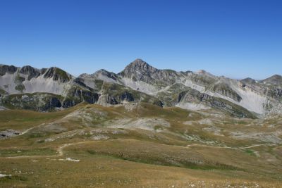 Premi per vedere l'immagine alla massima grandezza