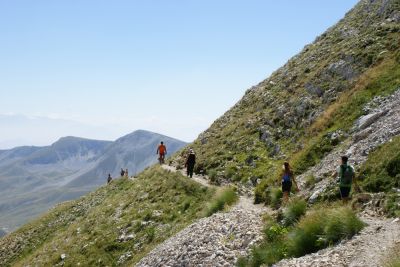 Premi per vedere l'immagine alla massima grandezza