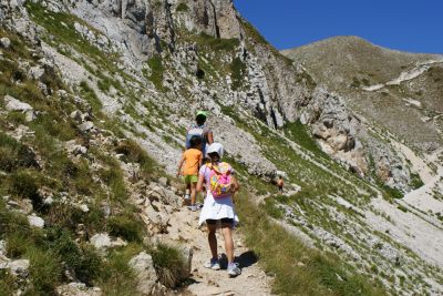 Premi per vedere l'immagine alla massima grandezza