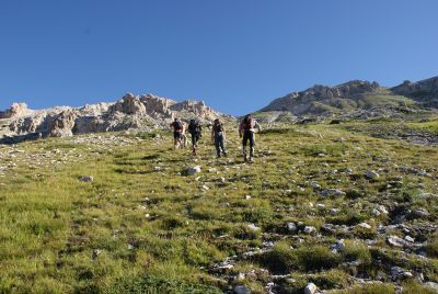 Premi per vedere l'immagine alla massima grandezza