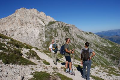 Premi per vedere l'immagine alla massima grandezza