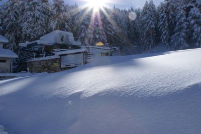 Premi per vedere l'immagine alla massima grandezza