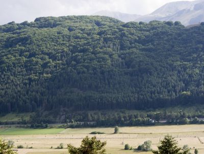 Premi per vedere l'immagine alla massima grandezza