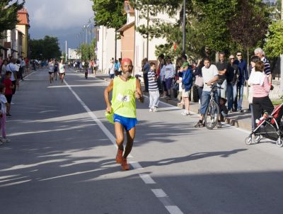 Premi per vedere l'immagine alla massima grandezza