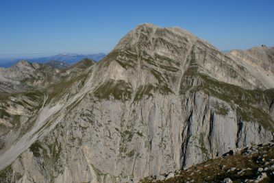 Premi per vedere l'immagine alla massima grandezza