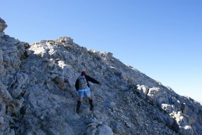 Premi per vedere l'immagine alla massima grandezza