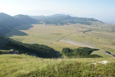 Premi per vedere l'immagine alla massima grandezza